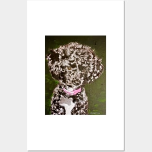 Black Poodle Posing Posters and Art